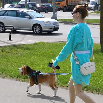 Week 1 progress with The Bark Button